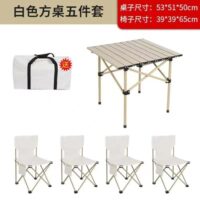 Pack de Table et 4 chaises de Camping pliantes,Portable pour voyage 4
